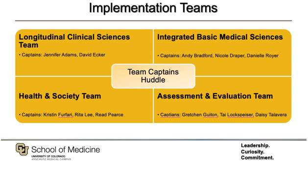 diagram of implementation team structure