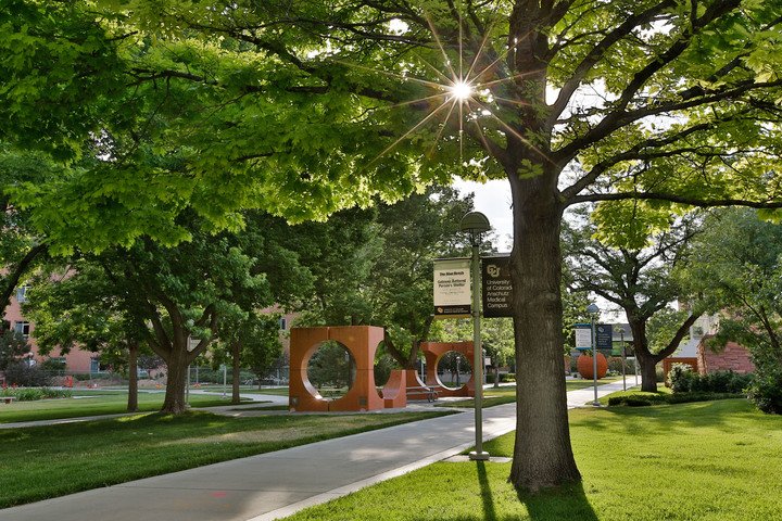 Picture of campus