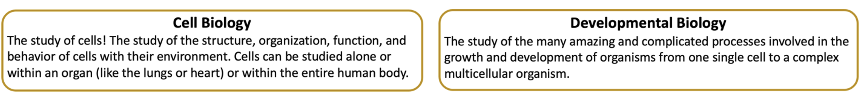 Cell and Developmental Biology 