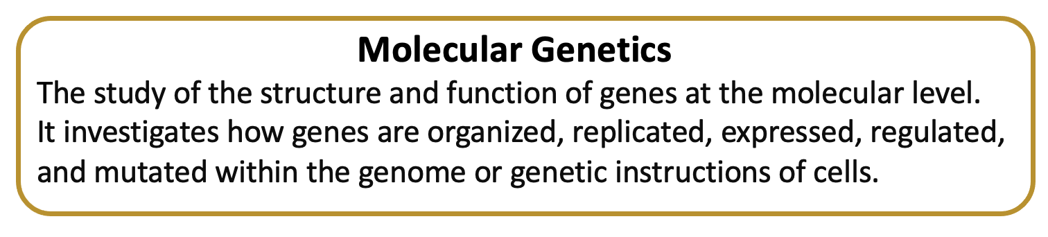 molecular genetics