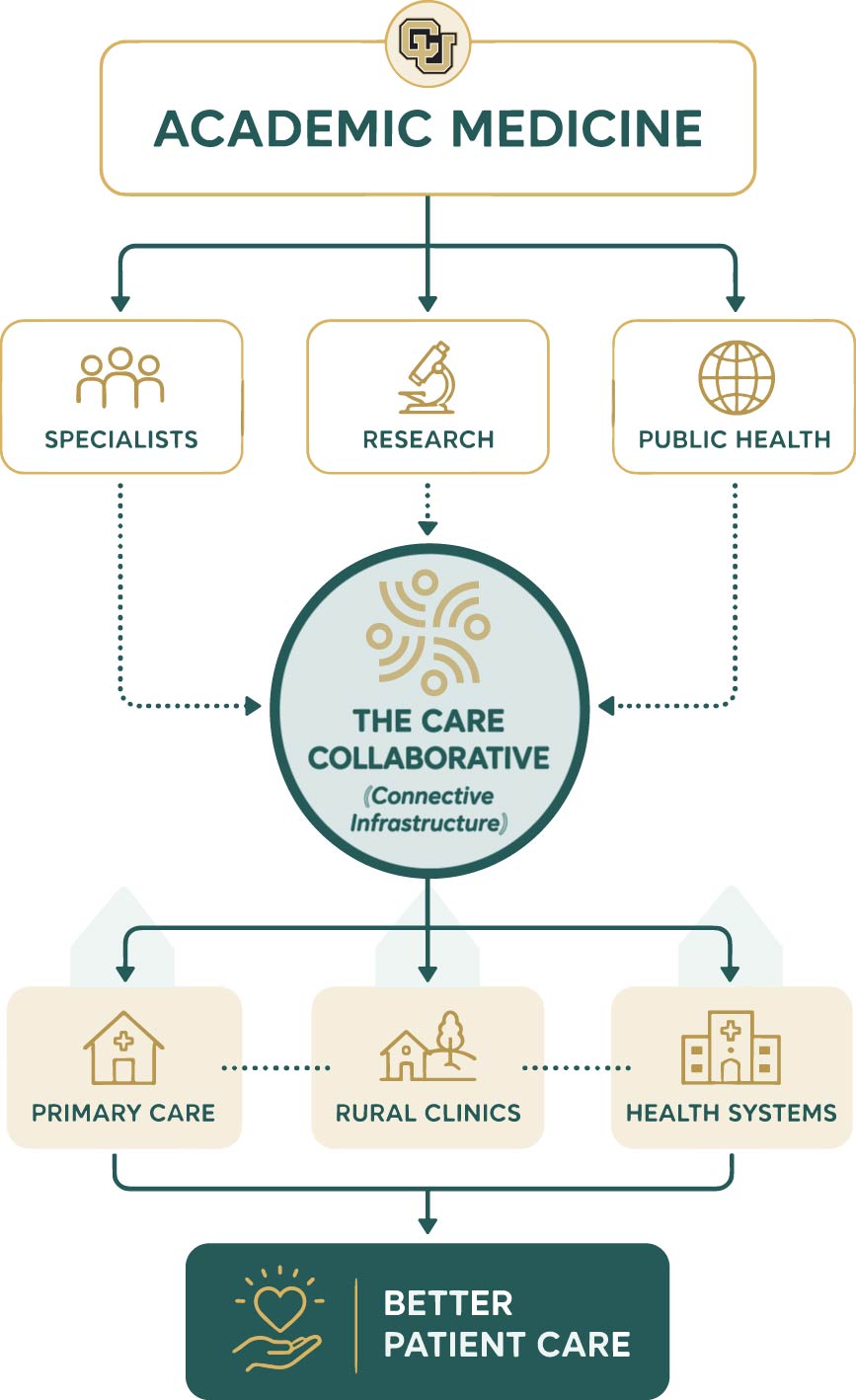 academic medicine infographic