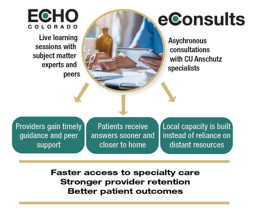 ECHO eConsults flowchart
