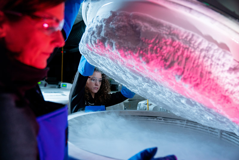 FDA Licensed clinimmune