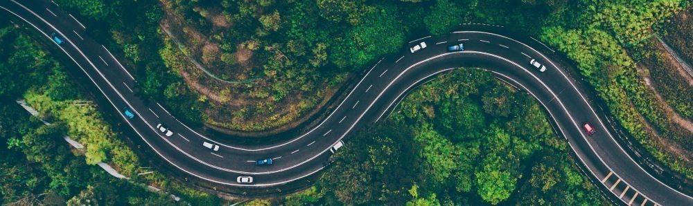 Winding road through the forest