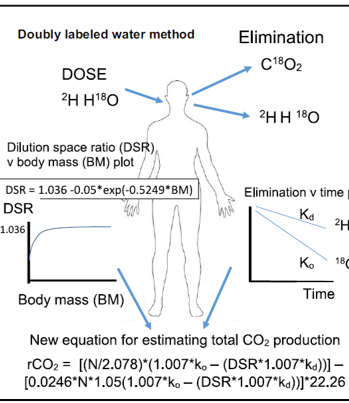 Doubly labeled water method