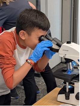 Young boy looking through a microscope