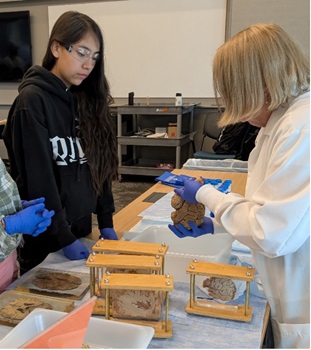 Girl in a sweater looking at a table across from a person in a white lab coat