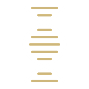 DNA - White and Gold
