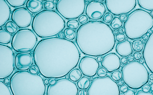 Blue microbiology image