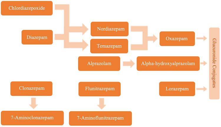 Figure 3. Metabolism of Benzodiazepines6