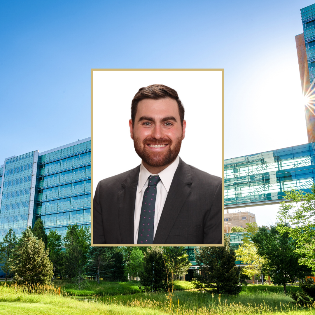 Daniel Brook Publication