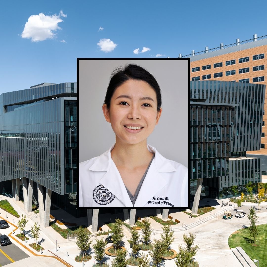 Xin Zhou Publication