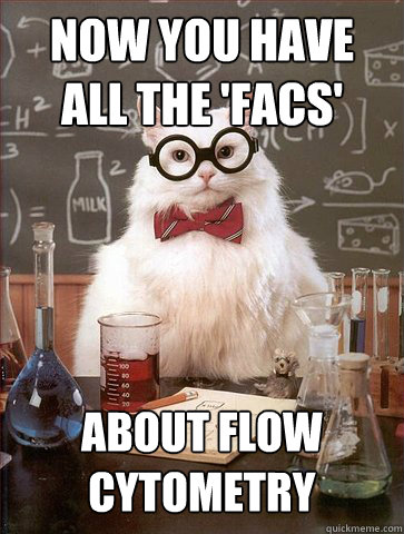 Facts about flow