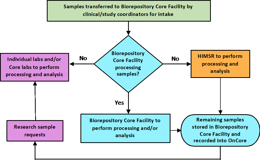 Sample processing infographic
