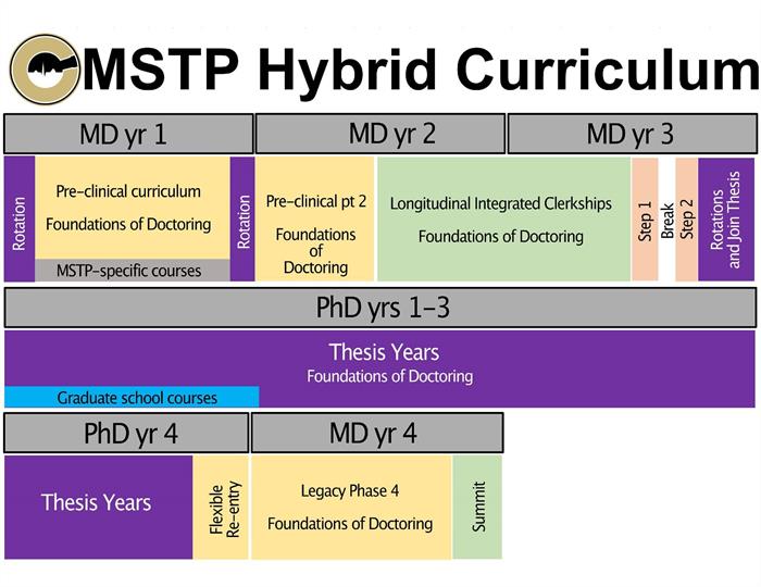 Hybrid Curriculum Diagram