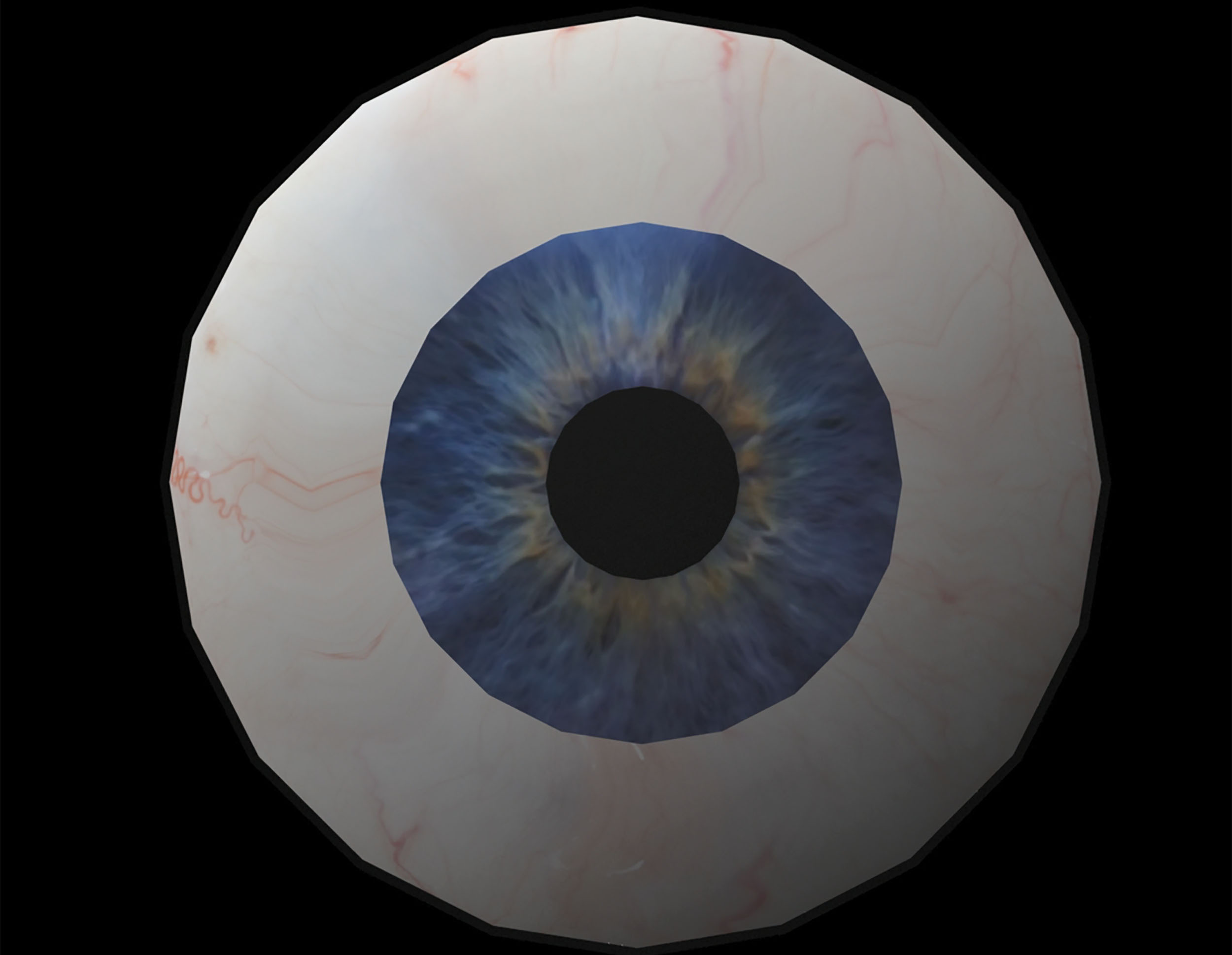 Eichinger Eye Animation