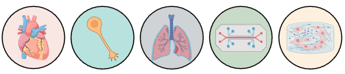 Research icons