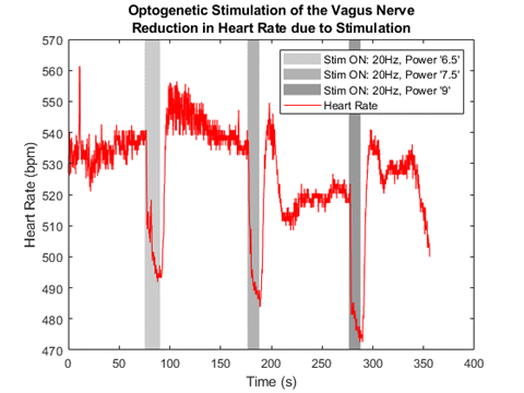 Heart Rate Response to Optogenetic Stimulation of the Left Cervical Vagus Nerve