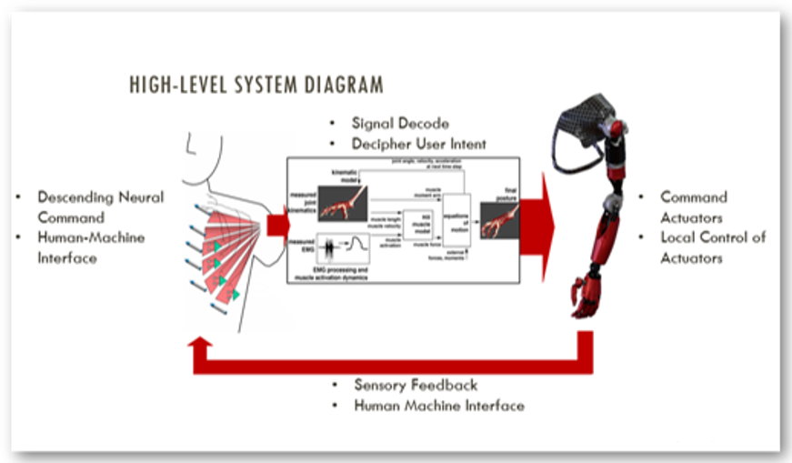 High-Level System Diagram for how prosthetic devices function.