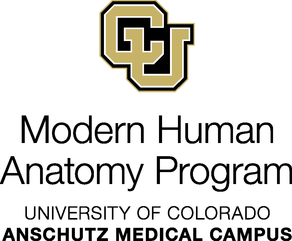modern human anatomy program logo