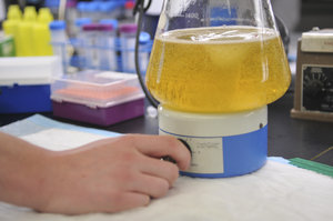 Hand adjusting knob with a beaker full of yellow liquid.