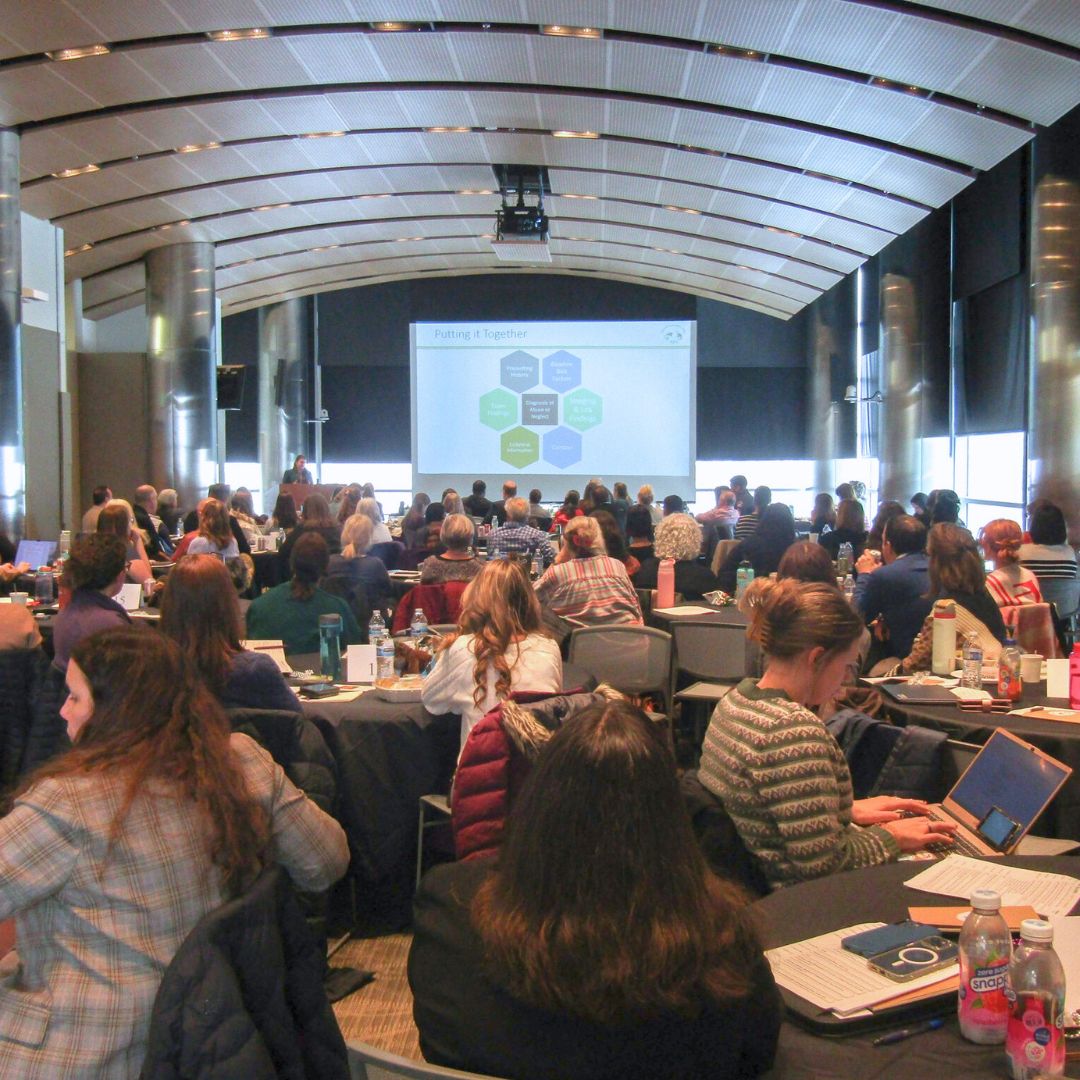 Elder Justice 2024 crowd.