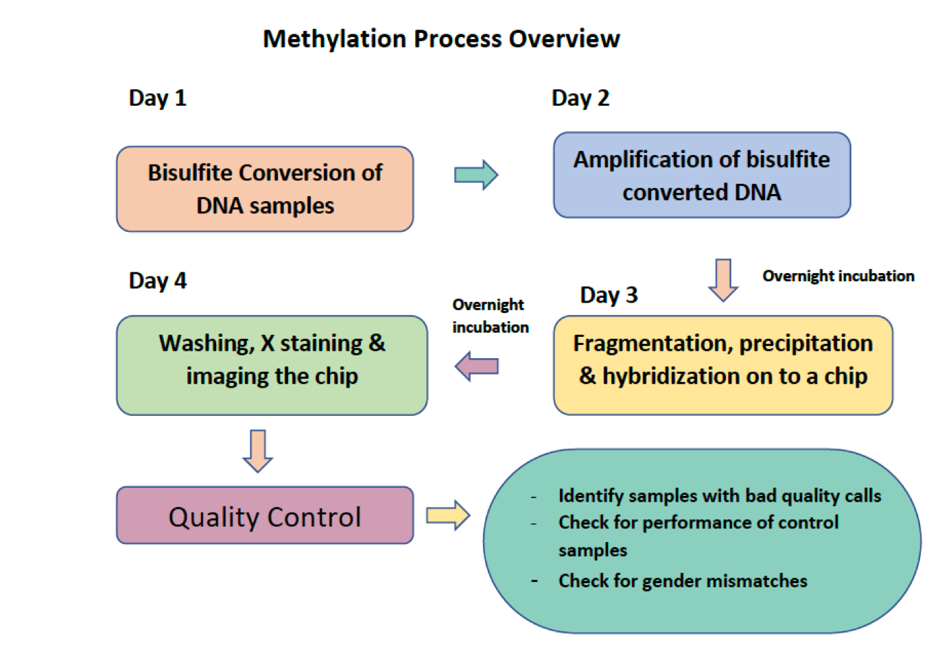 methylation-process