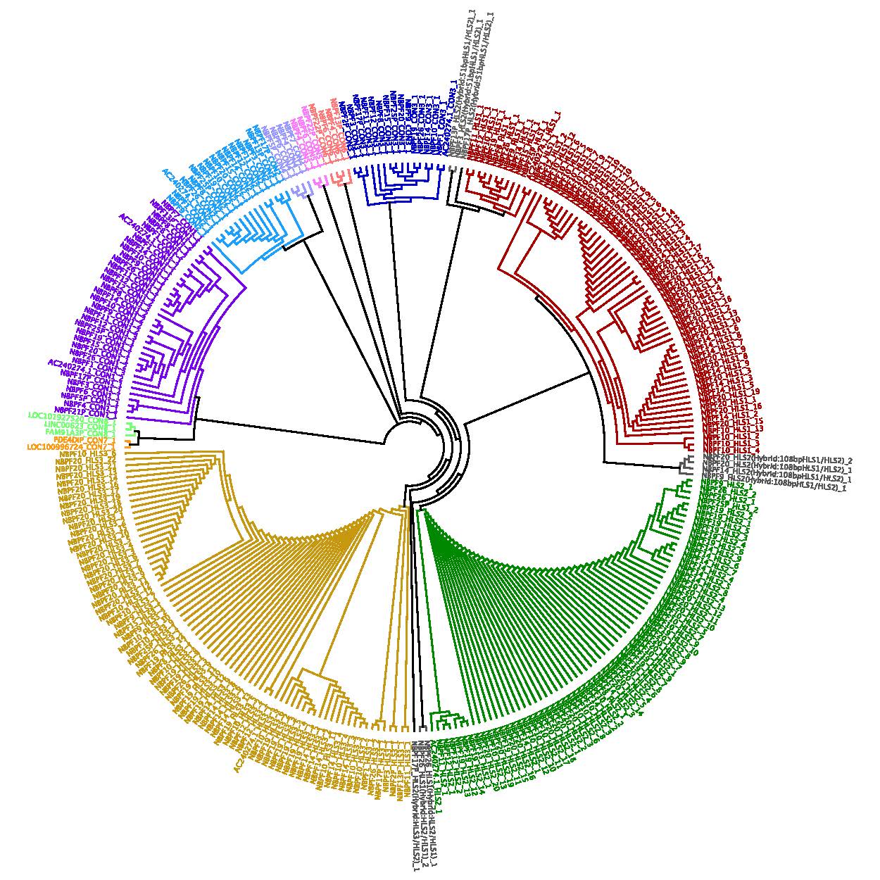 Sikela Lab composite photo