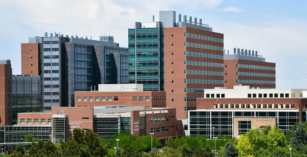 Research buildings in Summer