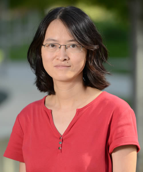 Rui Zhao -- 500 x 600