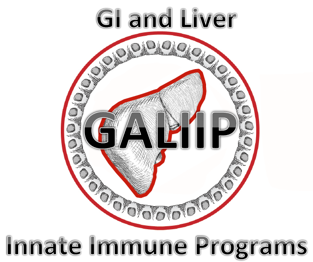 GALIIP Logo