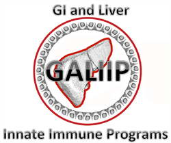 GALIIP Logo