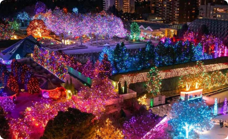 Aerial shot of botanic gardens holiday lights