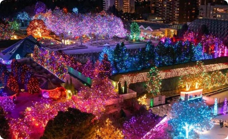Aerialshotofbotanicgardensholidaylights