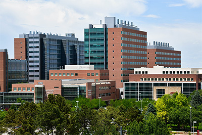Pretty campus shot showing uch towers