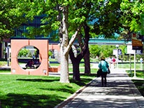 206-Campus-2014-11