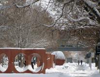 Campus-206-snow-3-2011
