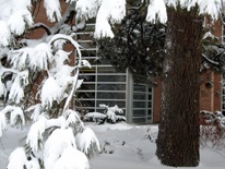 Campus-206-snow-8-2011