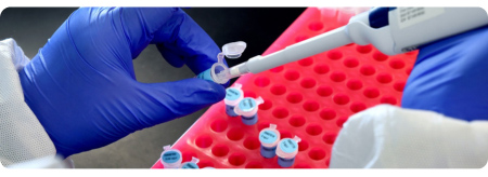 gloved hands in a lab