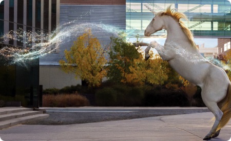 whitehorseonhindfeetandshiningsparklywave