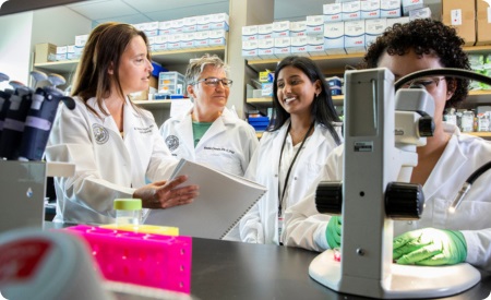 researchersgatheredtalking