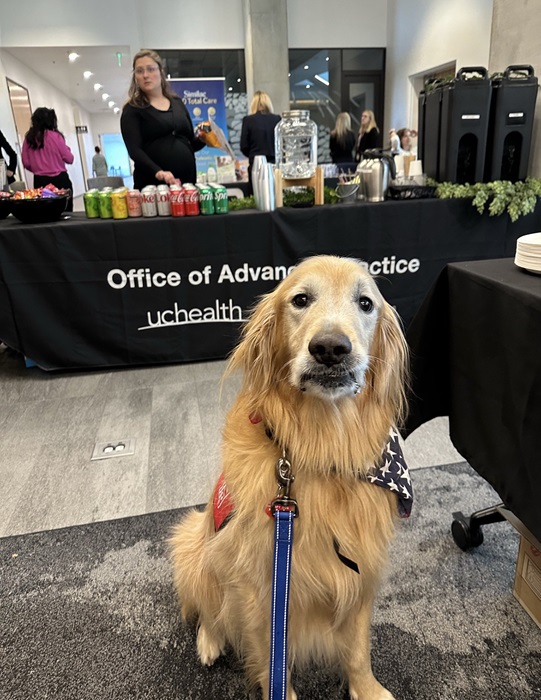 APPattendeesdog