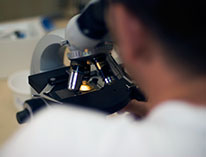 Lookingthroughamicroscope