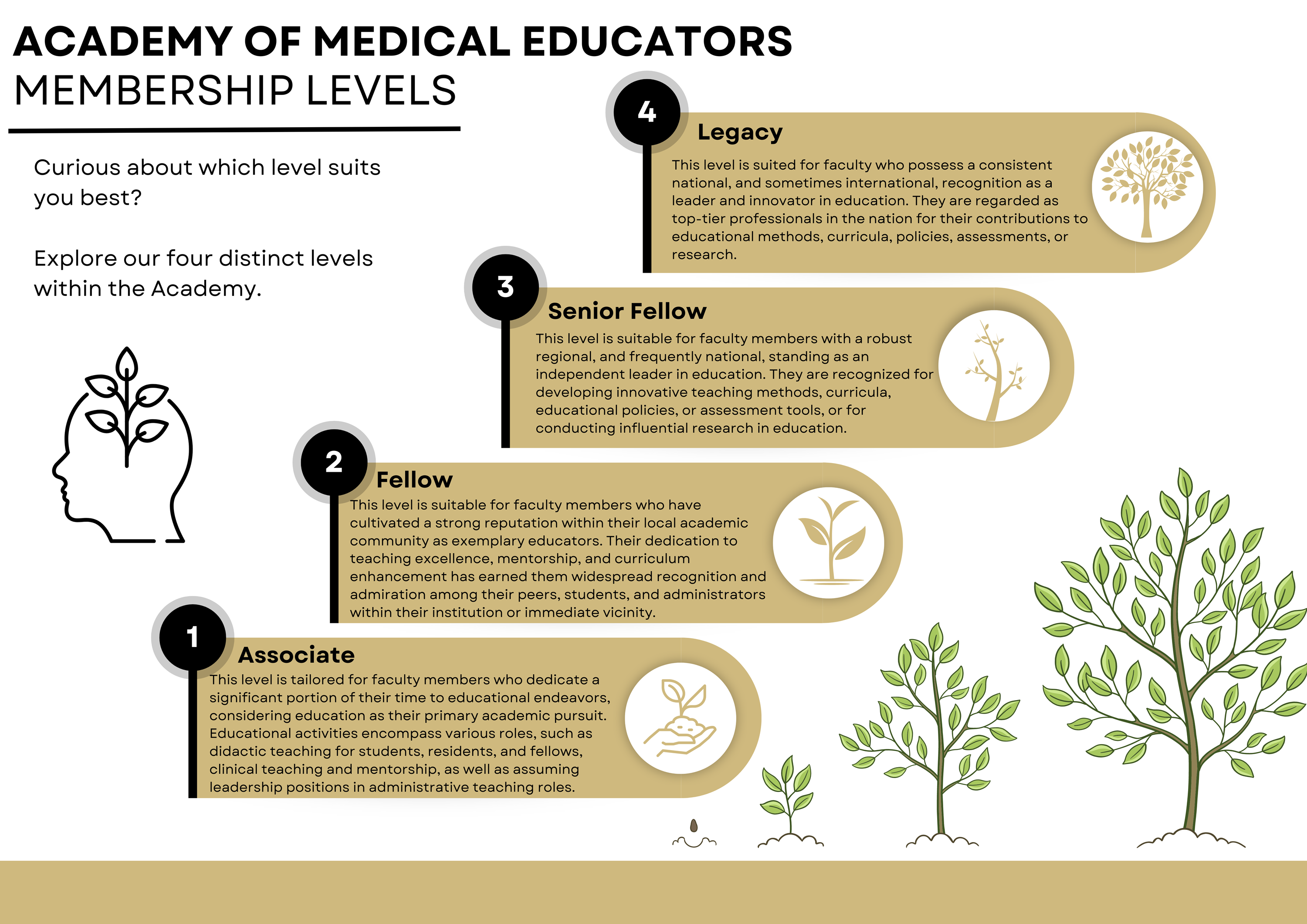 AMEMembershipLevelInfographic