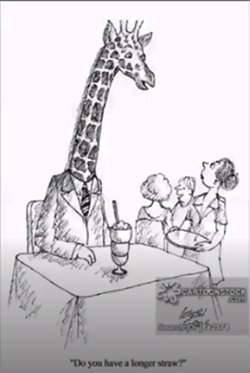giraffeaskingforlongerstraw-cartoon