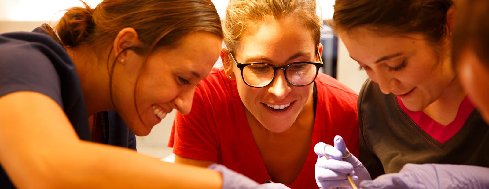 threemedicalstudentsinanatomylaboneholdingtool