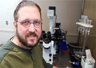 GregoryCAmbergPharmDPhD