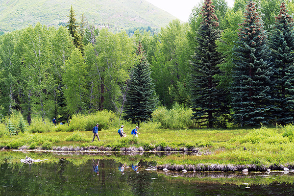 hikers in forest with lake
