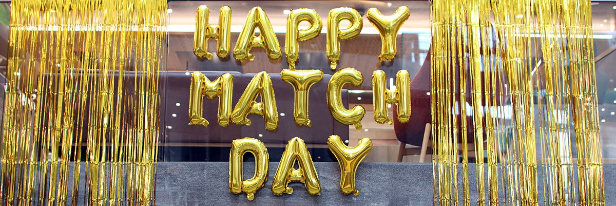 gold balloons spelling match day