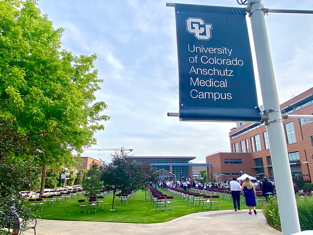 MicrosoftTeams-image11t